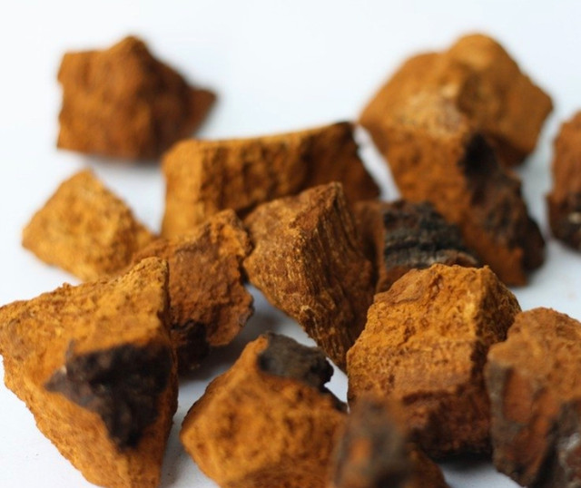 Dried Chaga in Health & Special Needs in Pembroke - Image 2