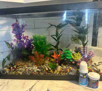 Fish tank and supplies 
