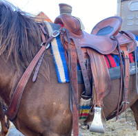 Woodys Association Ranch Saddle 