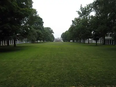 wanting any lawns that needs to be mowed, View more