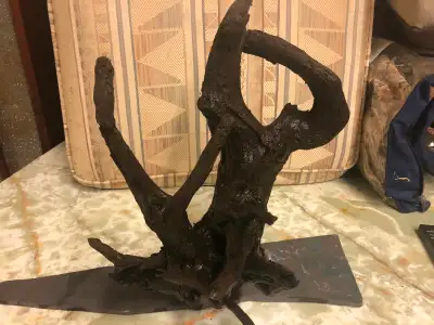 Used Aquarium Supplies, View more