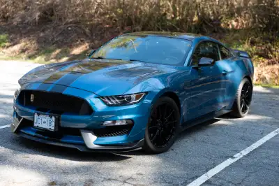 2019 Ford Shelby GT 350