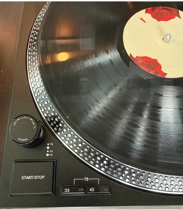 Record player audio-technica AT-LP120XUSB | Stereo Systems & Home ...