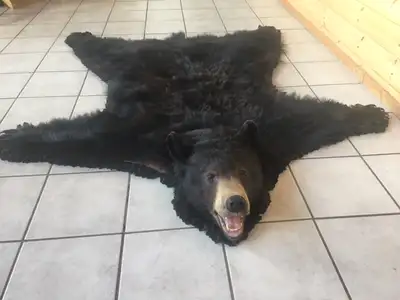 Miscellaneous, View more