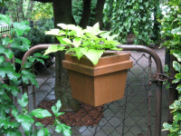 Wall or Fence Planter
