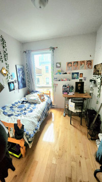 BERRI-UQAM//Apartment for Rent//800$