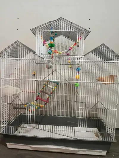 bird cage with accessories, View more