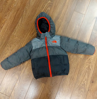 Northface Unisex Winter Jacket  (size 2)