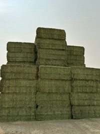 Hay for Sale - All Types