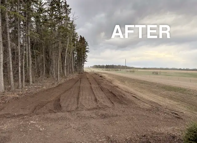 Mulching. Stump removal. Skid Steer services.572866413955000324