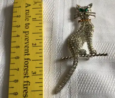 Cat lovers rhinestone pin tail moves.