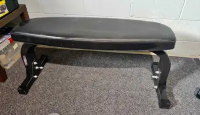 Northern lights flat bench plus other equipment , View more