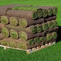 SOD FOR SALE ! CUT TODAY ! 