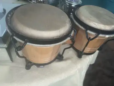 Bongos instrument de music, View more