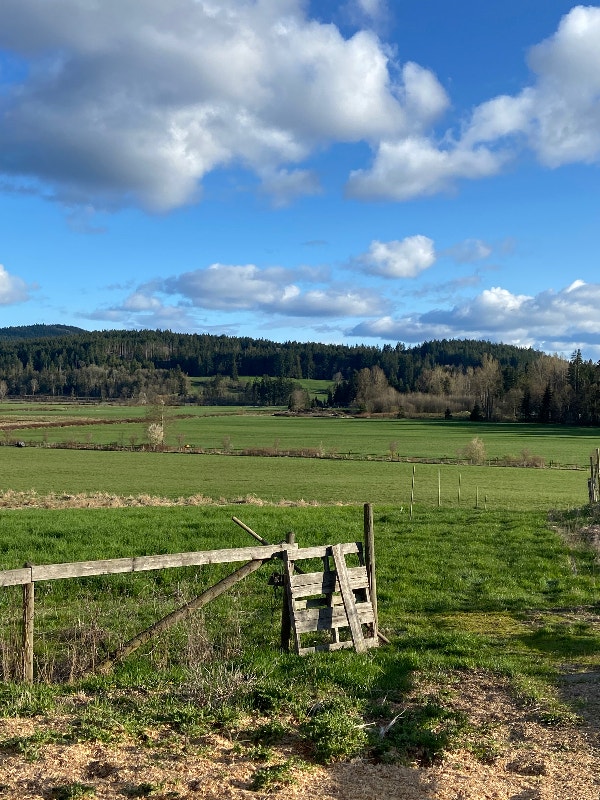 2bed Basement Suite for Rent Long Term Rentals Cowichan Valley