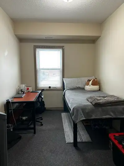 Room for rent available 1 May to August 31 for four months sublet Close to Waterloo university walk...