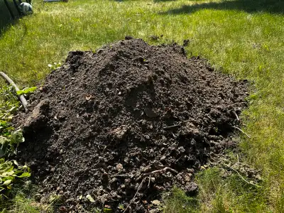 Free dirt , View more