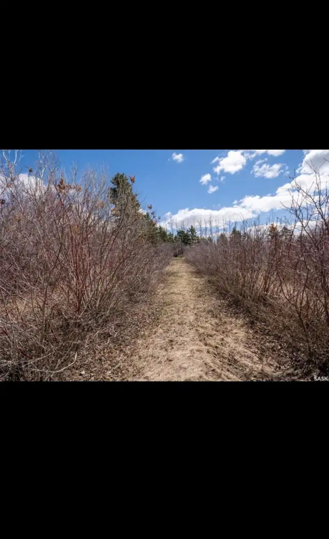 HOME QUARTER WITH YARDNEUDORF, SK AREARM of mClEOD in Land for Sale in Regina - Image 12