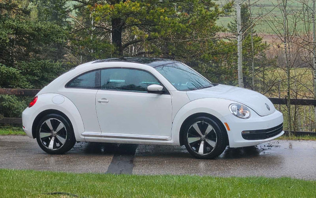 Volkswagen in Cars & Trucks in Calgary - Image 3