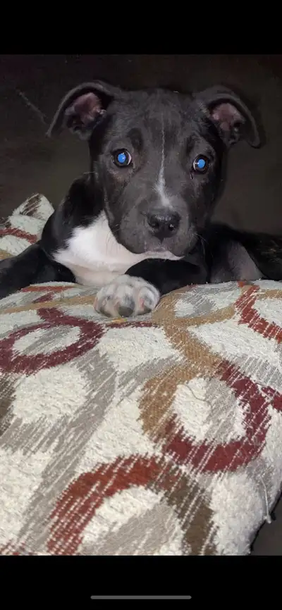 AVAILABLE TO TAKE HOME NOW, View more