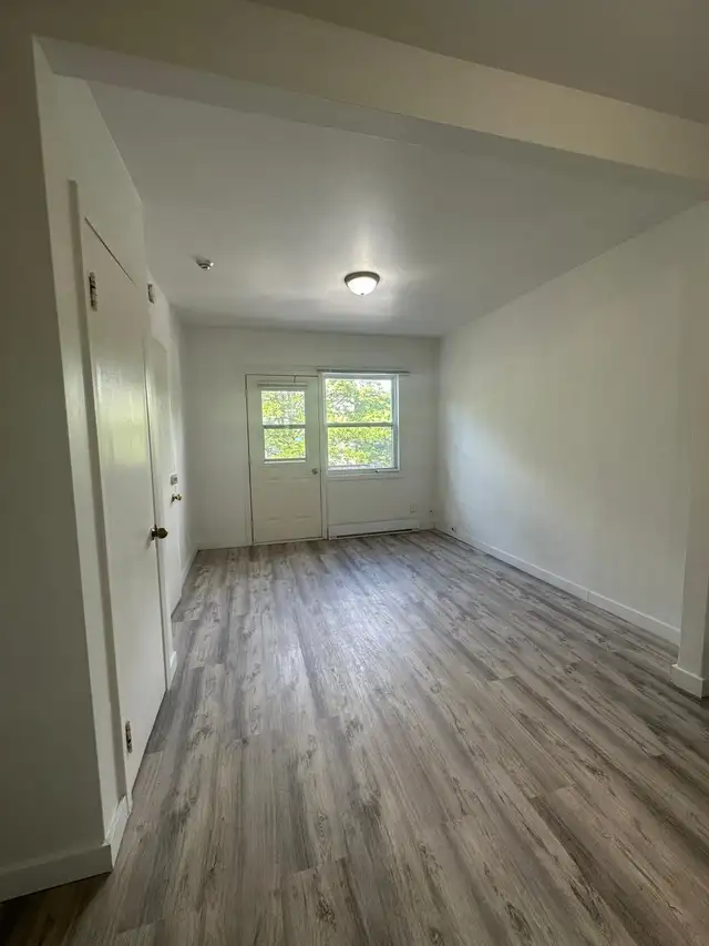 Renovated studio near Joliette Metro63417637614211121