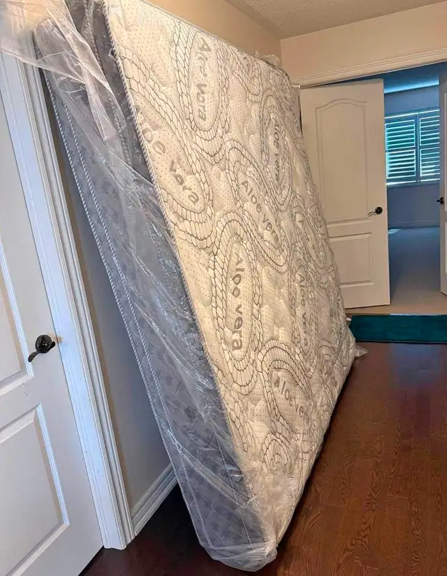 Brand New Comforter Available 63749434029185120
