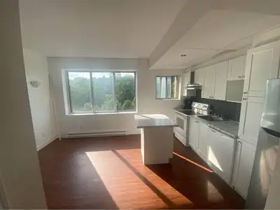 3.5 apartment - 4 mins walk from Concordia University