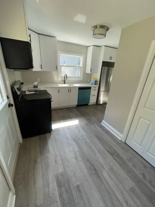 Renovations & Handyman Services 64519983427585122