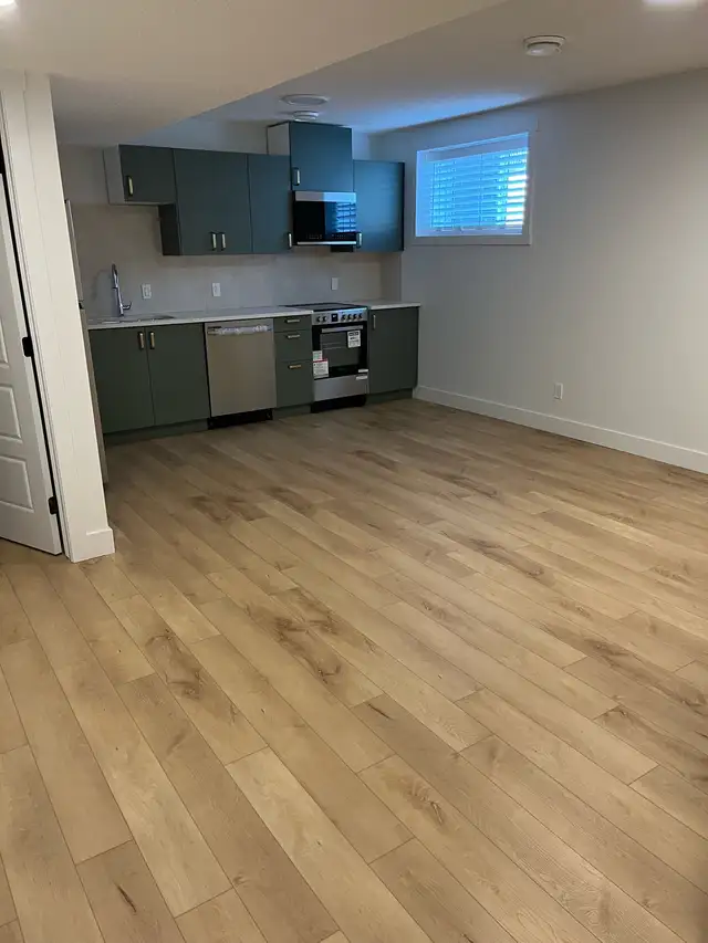 Detailed worker 30$/hr64722759282561121