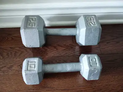 Dumbbells 25 lbs and 10 lbs $35 for both , View more