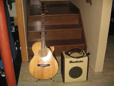 Danelectro Nifty 70 + Ki Sound with pickup, View more
