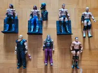 Collectible WWE Action Figure 