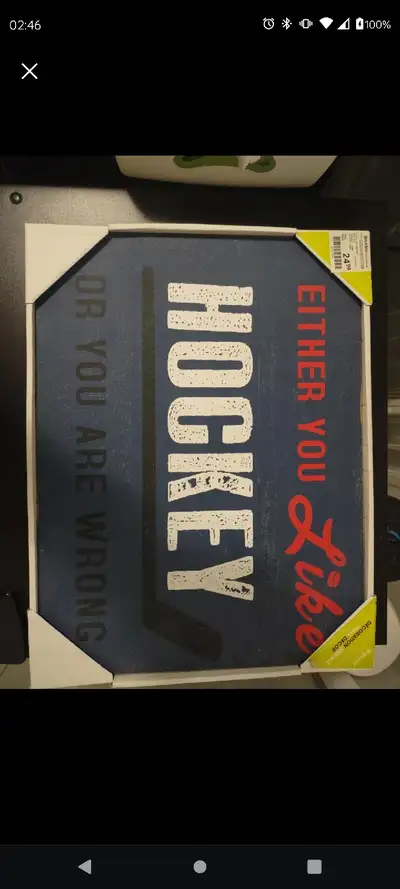 Bouclair Hockey Decor, View more