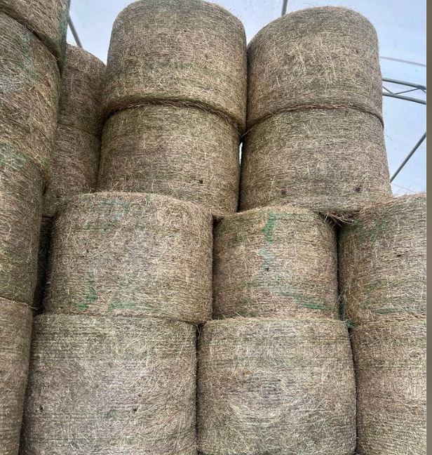 Round Bales of 1st and 2nd cut Hay and 2nd cut Square Bundles in Equestrian & Livestock Accessories in Oshawa / Durham Region - Image 2