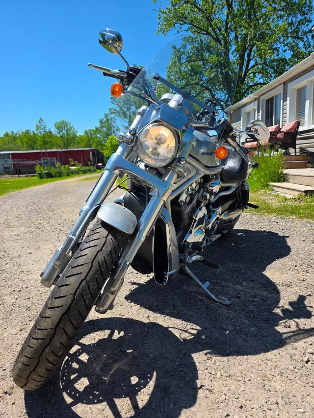 10th Anniversary Harley Davidson Vrod in Street, Cruisers & Choppers in St. Catharines - Image 7