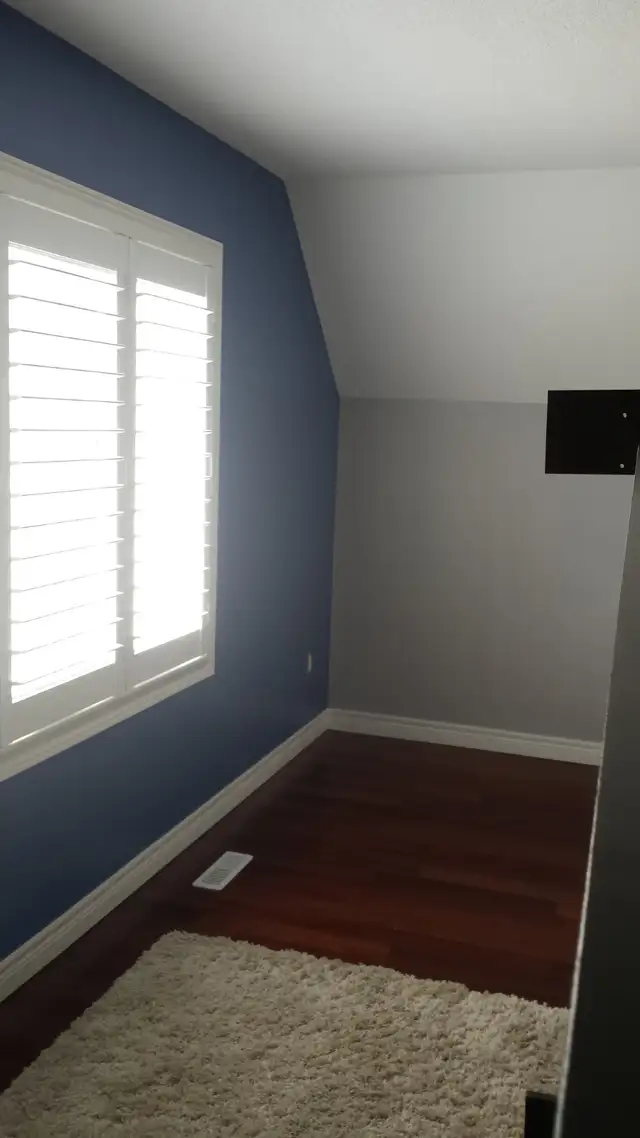 Professional Painter63013090737411122