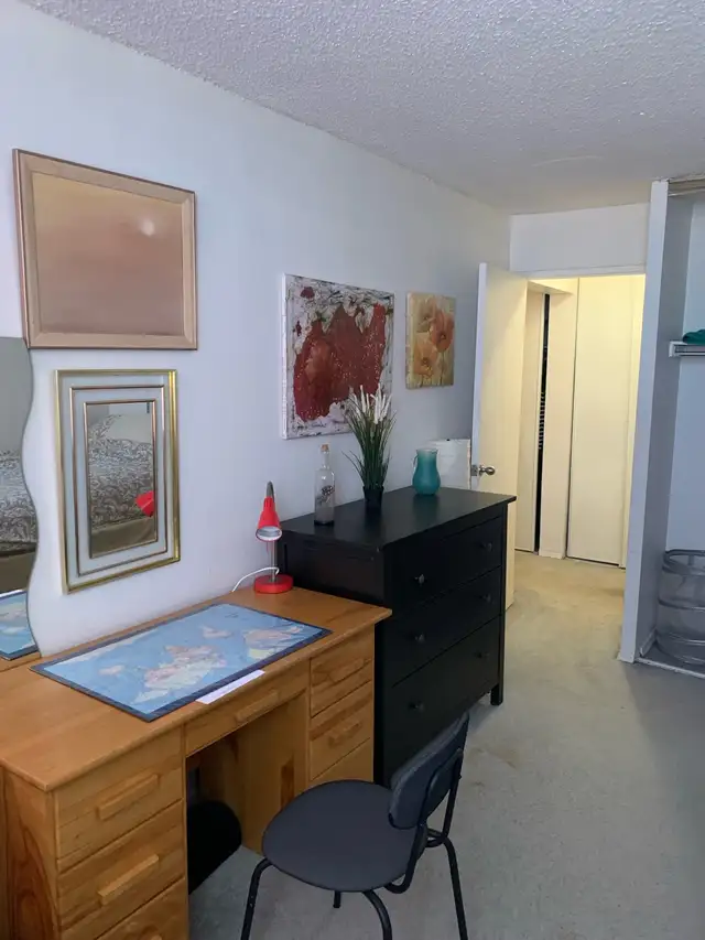 LARGE ROOM FOR RENT CENTRAL OTTAWA63616760428033123