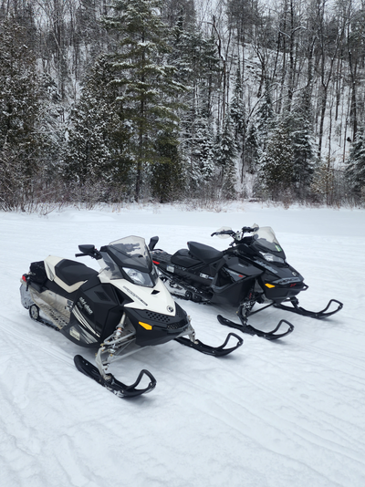 The 2010 Ski-Doo GSX LE 600 E-TEC is a two-stroke, fuel-injected trail snowmobile known for its fuel...