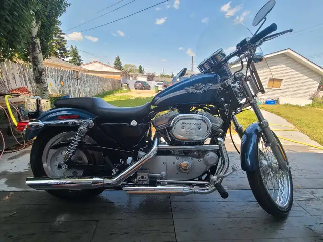 Harley Sportster 2003 883 XLC in Street, Cruisers & Choppers in Edmonton - Image 3