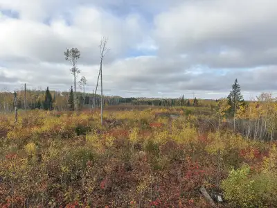 I am looking for some vacant land east of Thunder Bay to purchase for hunting land and to put a smal...
