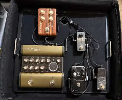 This is a pedalboard designed for an acoustic guitar. It has never been gigged. Will not piece it ou...