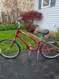 Manhattan smoothie comfort bike. Adult medium. 26" wheels