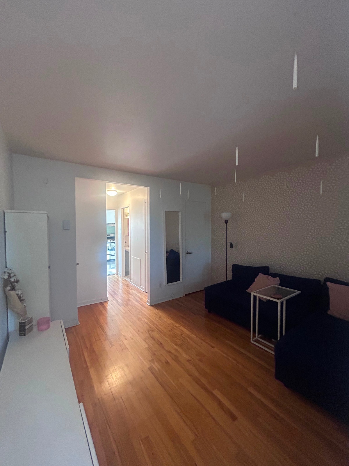 3½ Apartment Available for Sublet – Plateau Mont-Royal — photo 2
