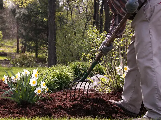 Landscaping & Junk Removal62863721646979127