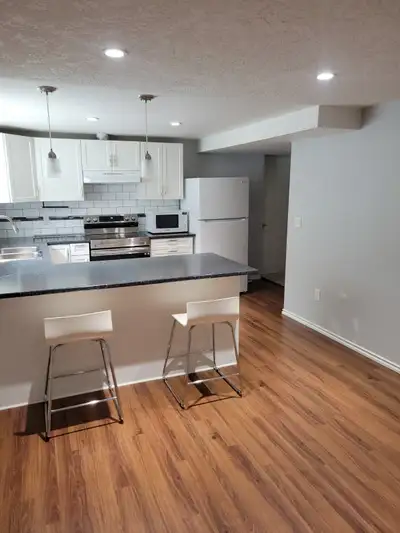 1 Bedroom Lower Level Basement Suite + Office
