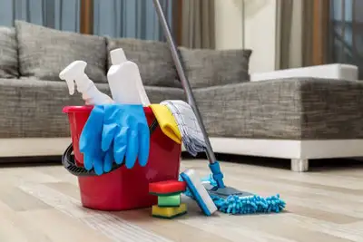 Hiring Professional Cleaners, View more