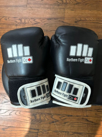 Northern Flight Co Boxing Gloves