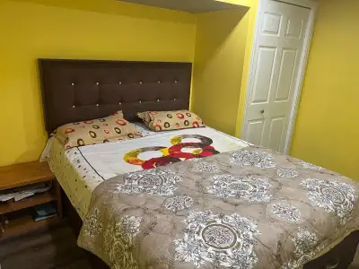 1 furnished room with double bed available for rent with separate washroom. Ideal for a student or w...