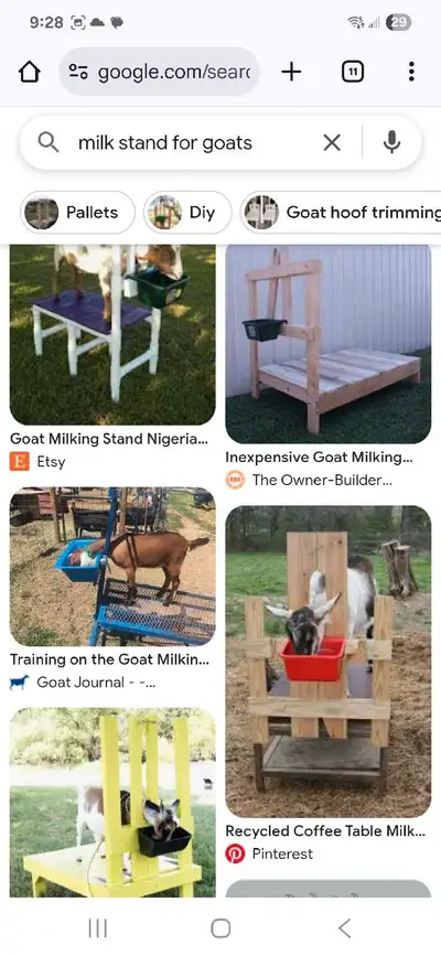Wanted: Milk stand for small goats, View more