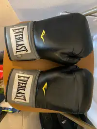 Everlast Boxing Gloves 16 oz